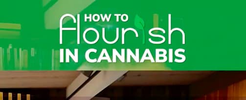 Extending Credit Terms in Cannabis: 5 Things to Protect Your Cash Flow.