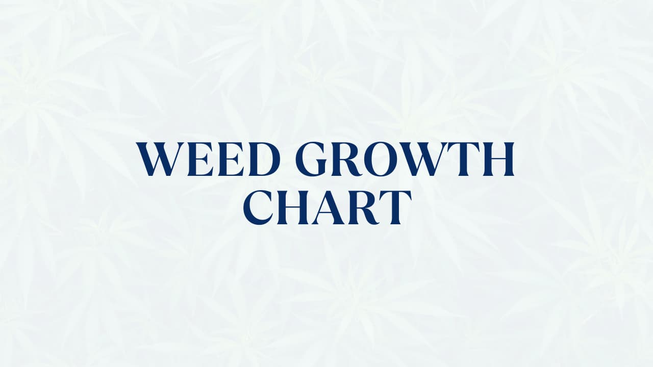 Weed Growth Chart