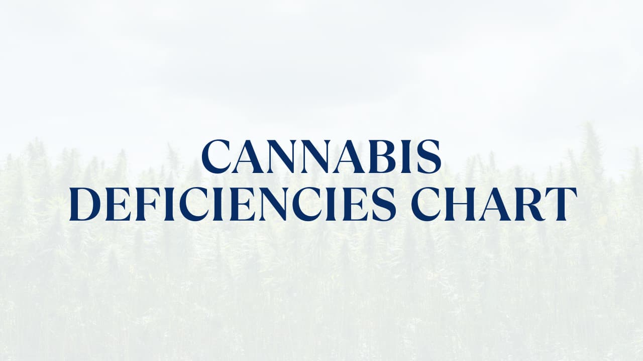 Cannabis Deficiencies Chart