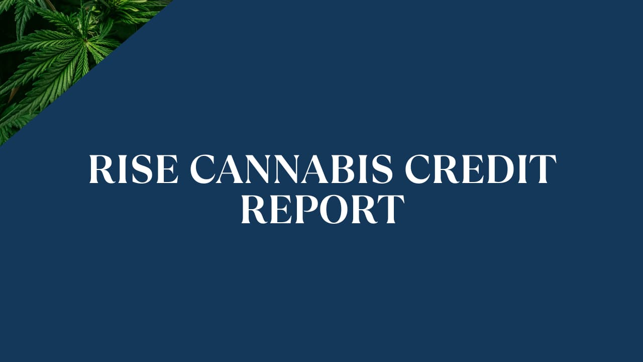 Rise Cannabis Credit Report & Risk Rating