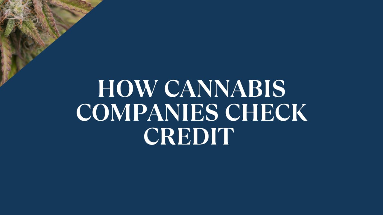 How Cannabis Companies Check Credit Before Net Terms